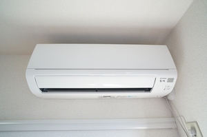 セルリアン 102号-11