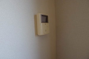 ＦＯＸＥＳ　Ａ 102号-11