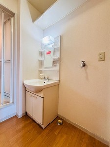 ロシニョールB 202号-6