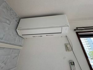 アガパンサス 205号-7