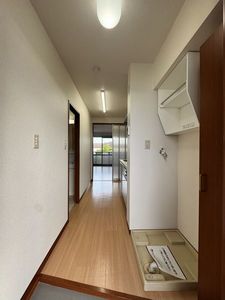 アガパンサス 205号-11