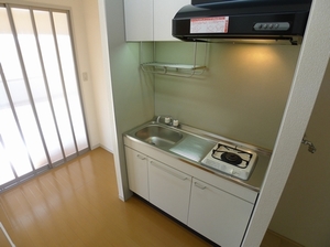 ユースフルハイツ 203号-5