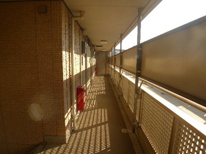 オアシス谷津 301号-11