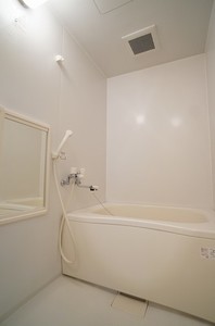 ディアス藤原 202号-9