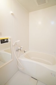 ディアス藤原 205号-9