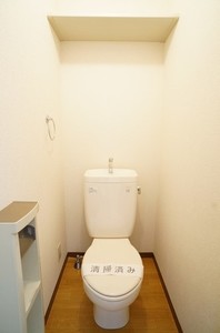 ディアス藤原 205号-10