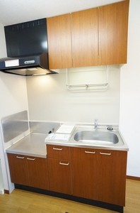 ディアス藤原 205号-11