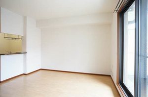 フラットフィールド 203号-2