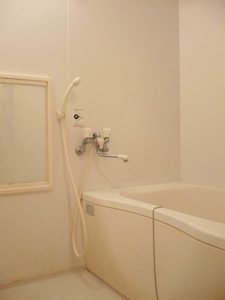 フラットフィールド 302号-10