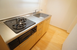 パークレジデンス 201号-10