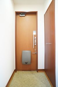 アピア泉・Ⅱ 205号-11