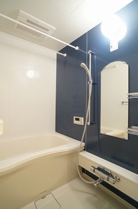 メゾン・ド・アイ 102号-10