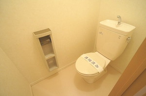 クレセール鎌ヶ谷 308号-11