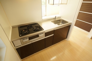 サザンヒルズ ピルス 201号-4