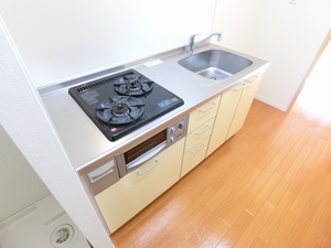 ラフォーレ市川 203号-6