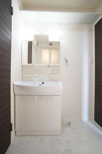 フロウリッシュＭ 203号-7