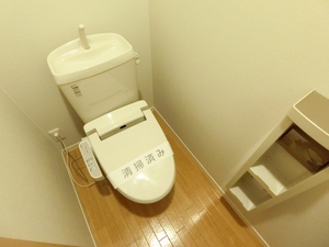 カデンツァ 101号-11