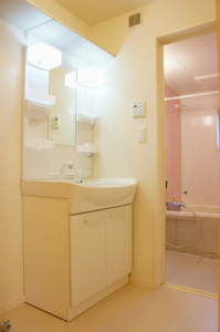 ネオハイツ大沢Ｂ 101号-9