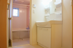 ネオハイツ大沢Ｂ 102号-9