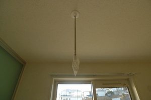 エスポワール 101号-10