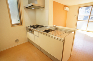 ブルーベリーヒル 202号-8