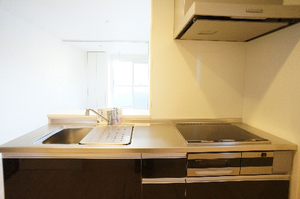 メゾンドール 101号-3