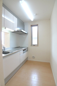 ルシアⅡ 203号-3