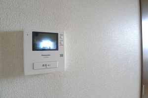 グリーン・リーフＡ 201号-9