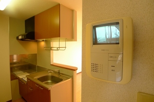 キャッスル豊四季 101号-5