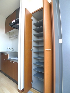 クリサンテ 201号-11