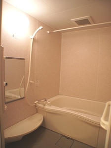 メゾンドール松戸 306号-8