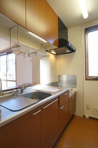 NTドミールⅠ 102号-7