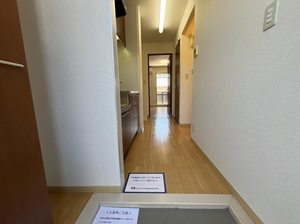 グリーンベージュ 202号-11