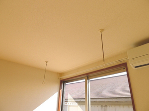 Tマーシュ 103号-10