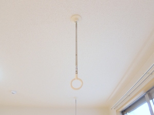 プリムローズ 101号-11