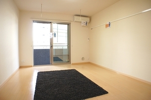 ストリームコート 202号-3