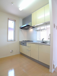 ＮＳドミール 201号-2