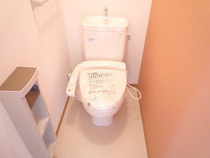 大新ヒルズ八ヶ崎 101号-9