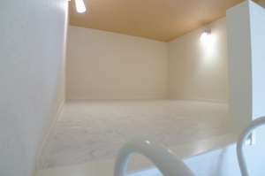 アルフラットおおたかの森 203号-10