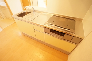 レジェンド柏 201号-4