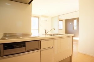 フェリシード 101号-8