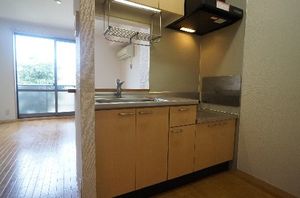 アルスピアⅥ 203号-4