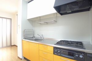 ディアーナ 106号-5