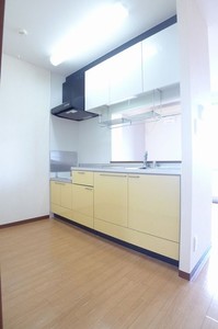 ドルチェＡ棟 203号-3