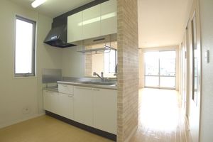 エリュシオン 203号-3