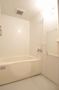 Ｆｏｒｔｕｎａ 101号-9