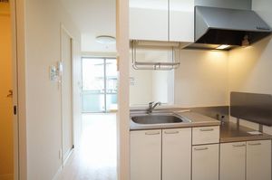 アーマビリータＡ 208号-5