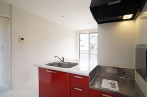 ラフィーネC 103号-4