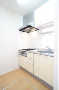 スカイコート 101号-6