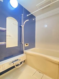 アンベリール 110号-9